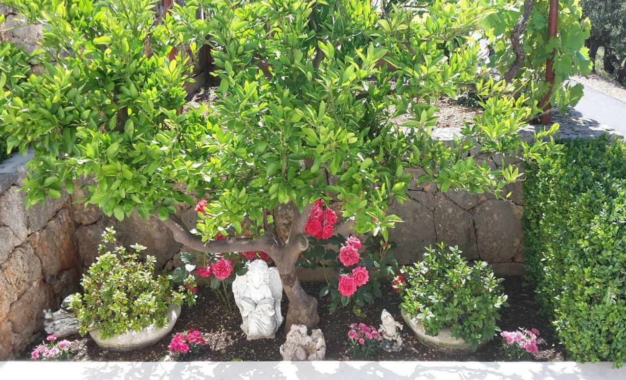 Guest House Fenix Brela Exterior foto